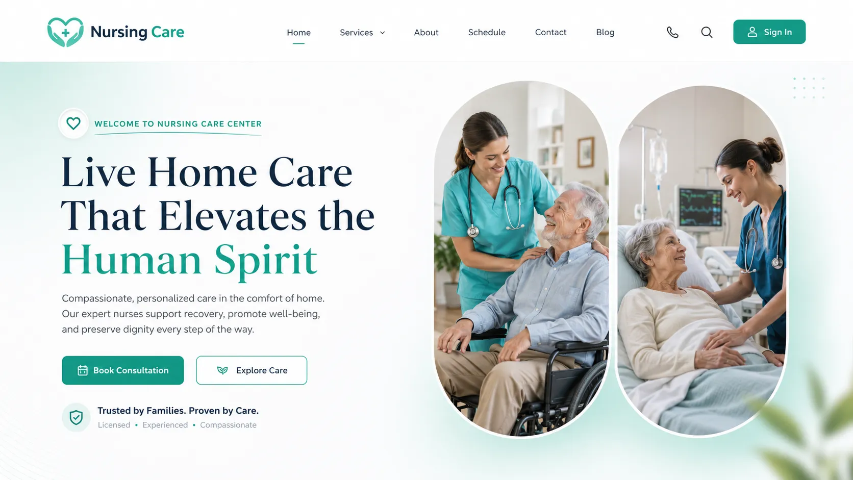 Nursing Care hero design concept